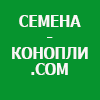 KolpachokCict